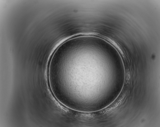 X0000100860959200806271157