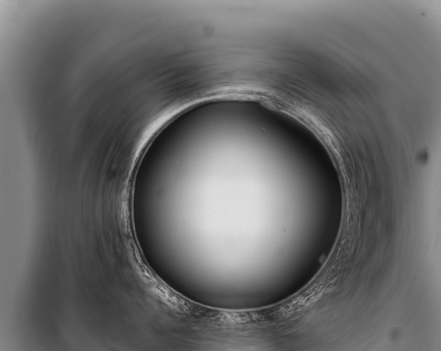 X0000100860960200806271157