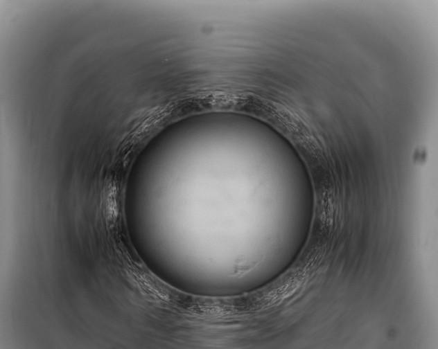 X0000100860962200806271156