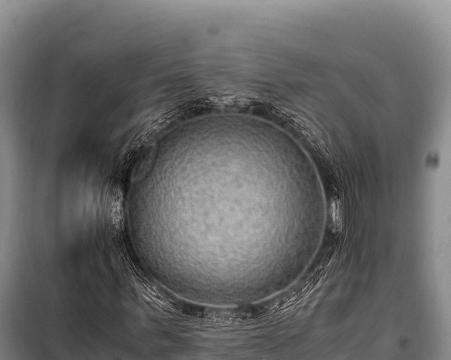 X0000100860963200806271156