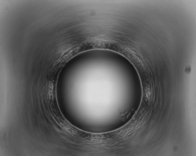 X0000100860964200806271156