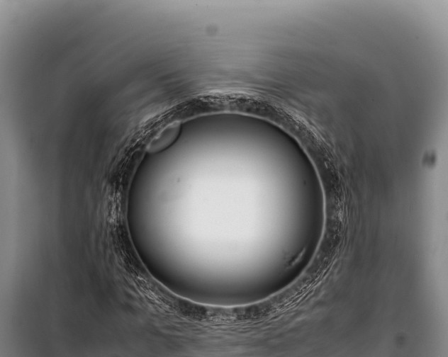 X0000100860965200806271156