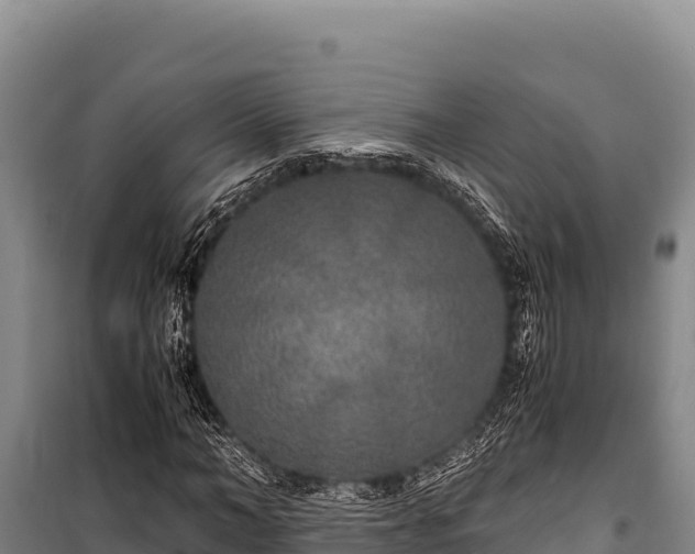 X0000100860966200806271156