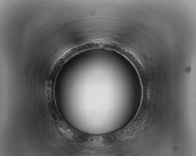 X0000100860968200806271156