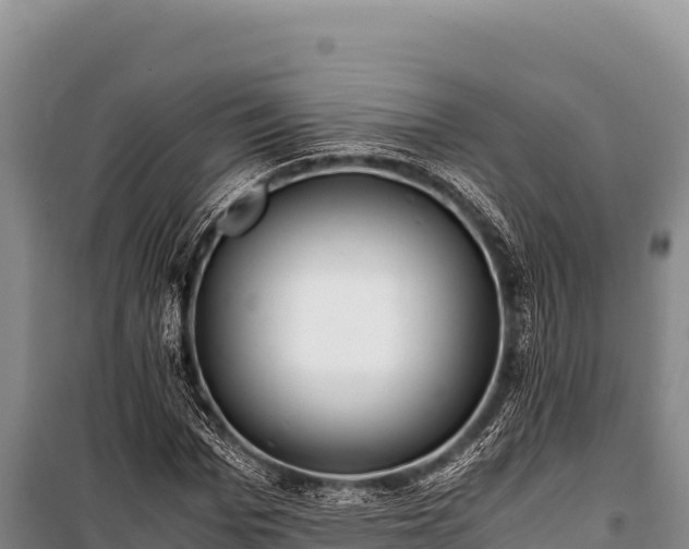 X0000100860969200806271156