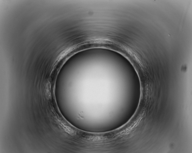 X0000100860970200806271156