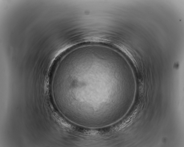 X0000100860971200806271156