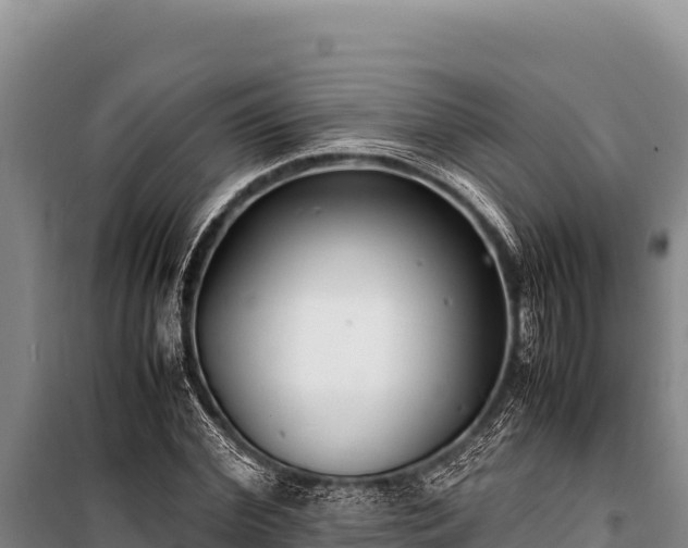 X0000100860972200806271156