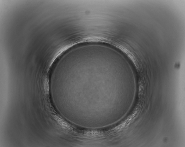 X0000100860973200806271156