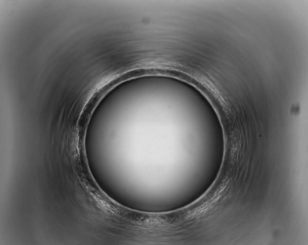 X0000100860974200806271156