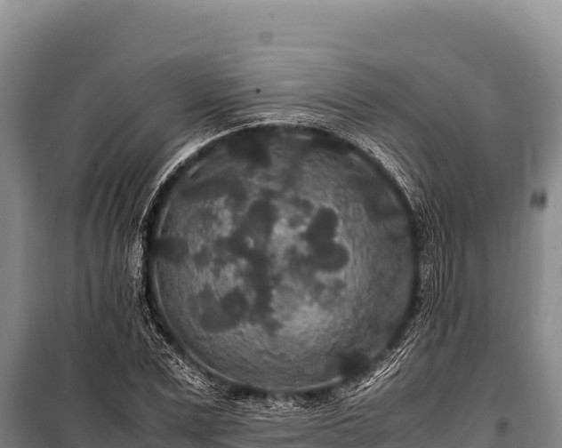 X0000100860975200806271156