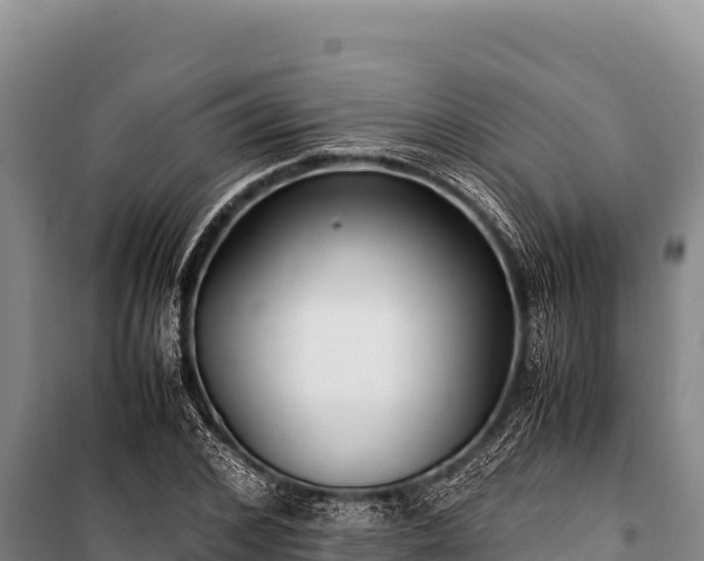 X0000100860976200806271156