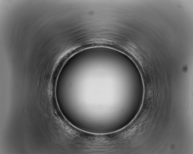 X0000100860979200806271156