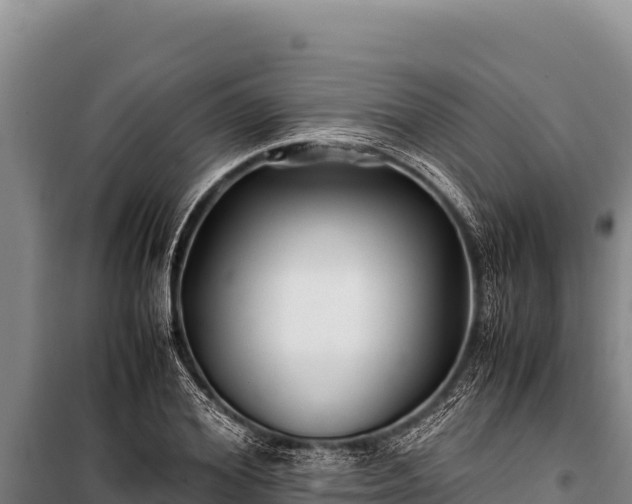 X0000100860980200806271156