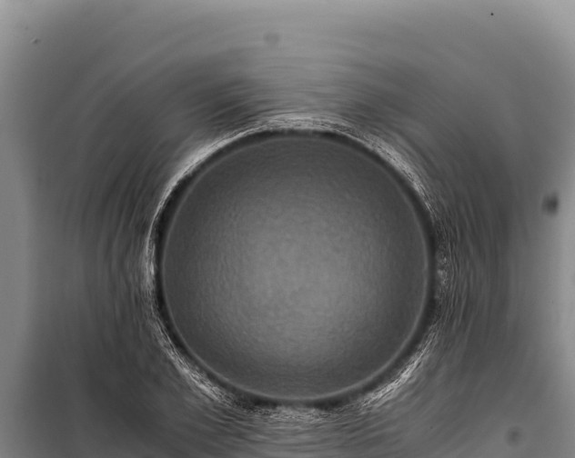 X0000100860981200806271156