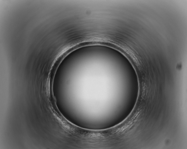 X0000100860982200806271156