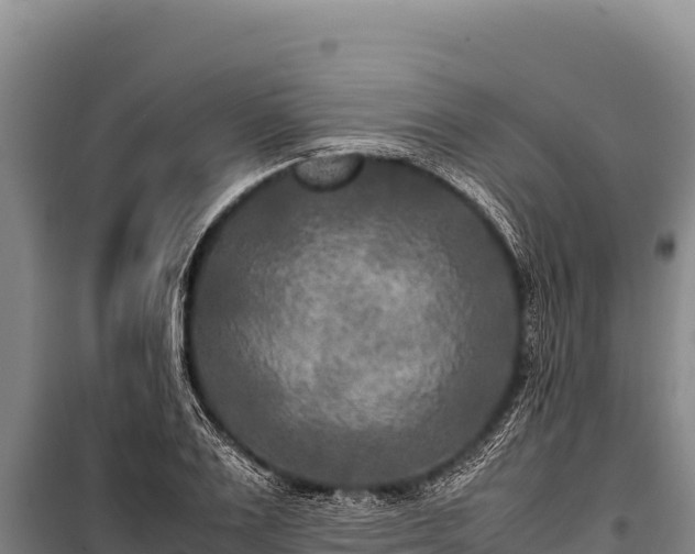 X0000100860983200806271156