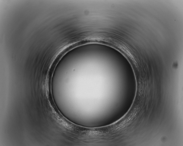 X0000100860984200806271156