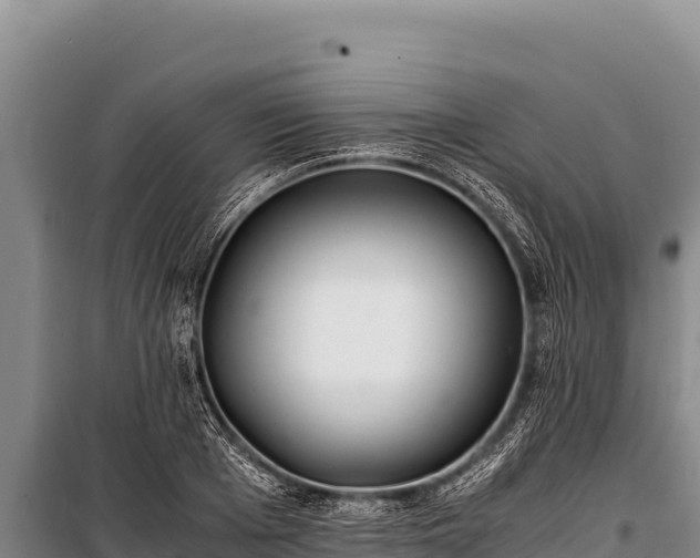 X0000100860985200806271156