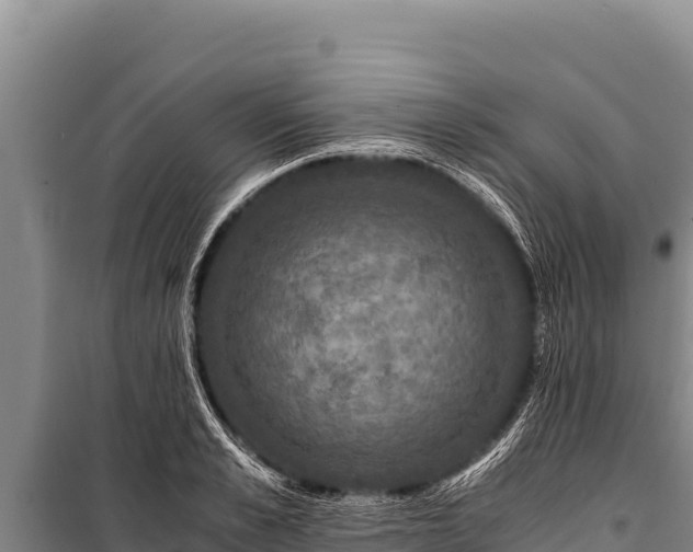 X0000100860989200806271156