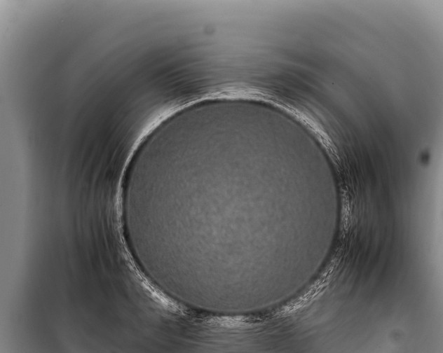 X0000100860990200806271156