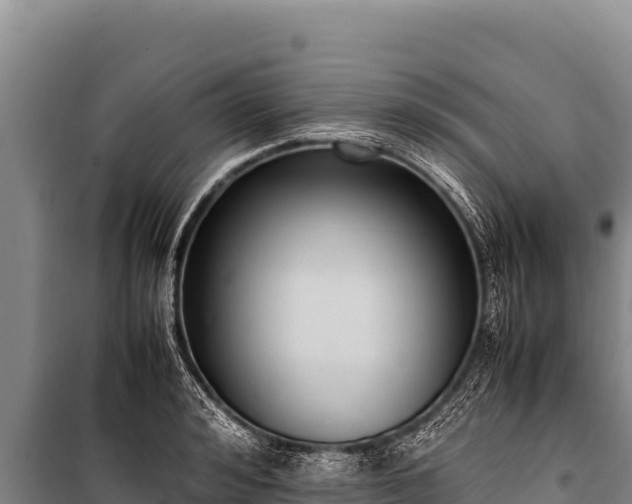 X0000100860992200806271156