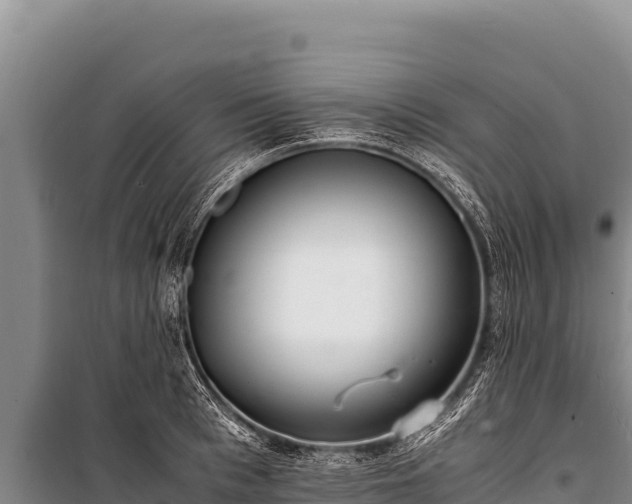 X0000100860993200806271156