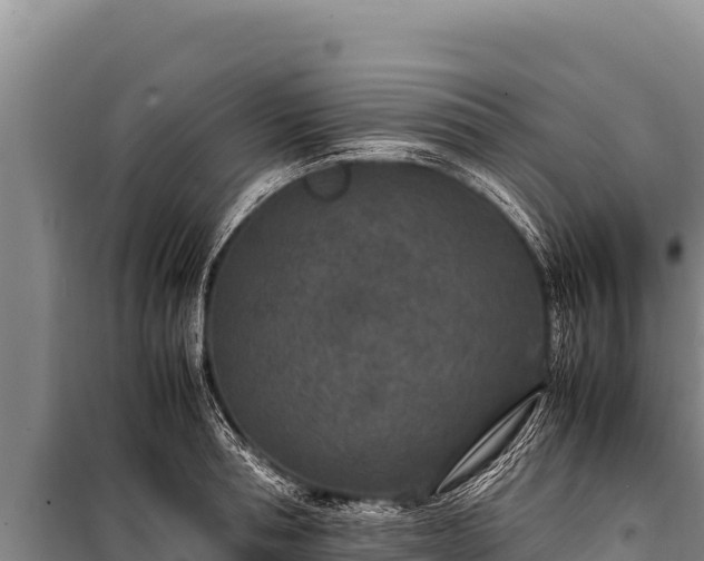 X0000100860994200806271156