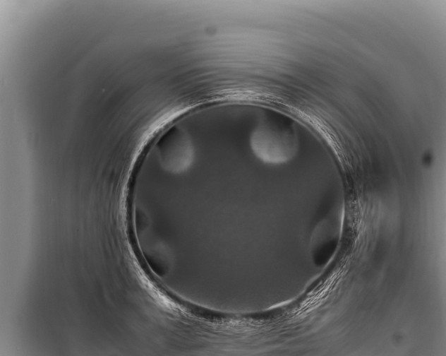 X0000100860995200806271156