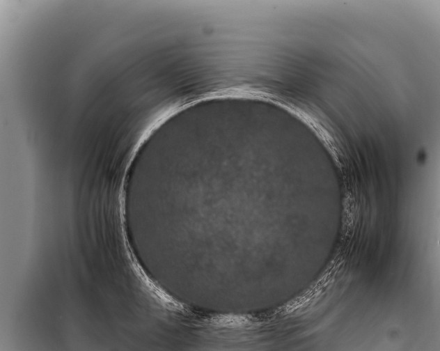 X0000100860998200806271156