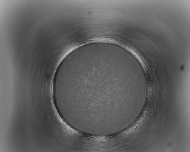 X0000100860999200806271156