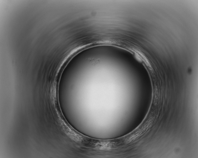 X0000100861000200806271156