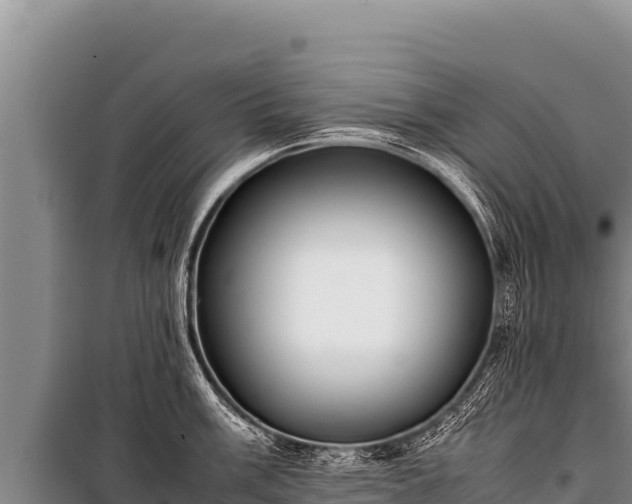 X0000100861003200806271156