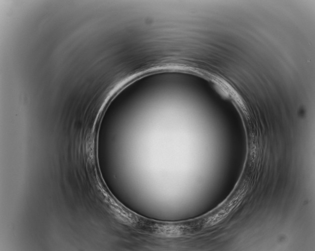 X0000100861004200806271156