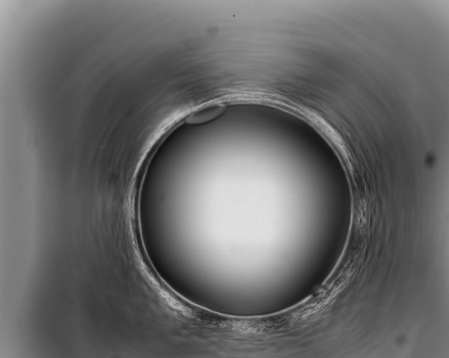 X0000100861005200806271156