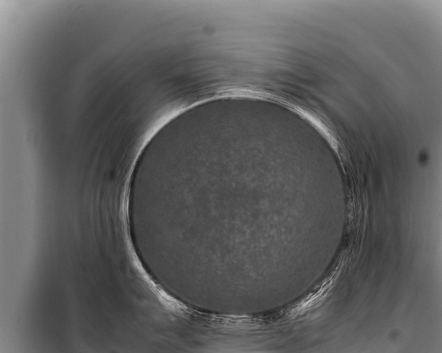 X0000100861007200806271156