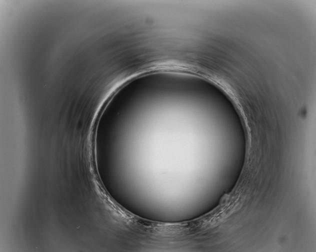 X0000100861008200806271155