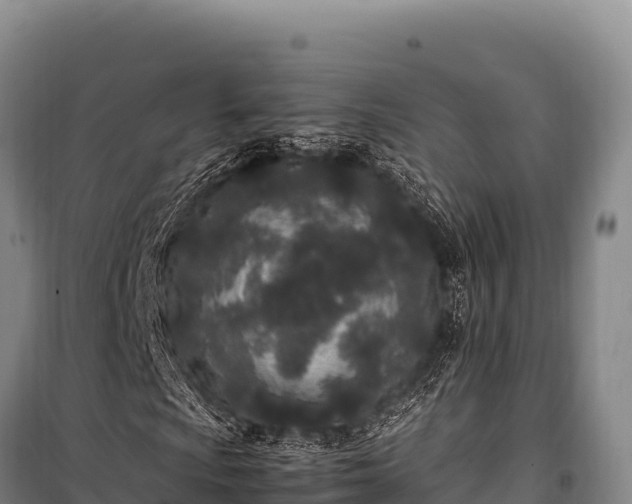 X0000100861009200806271155