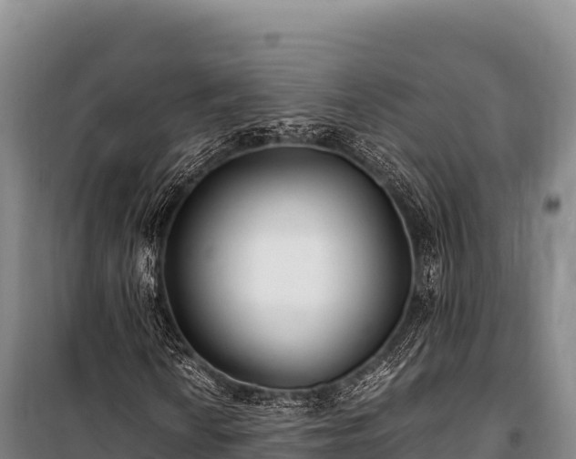 X0000100861010200806271155