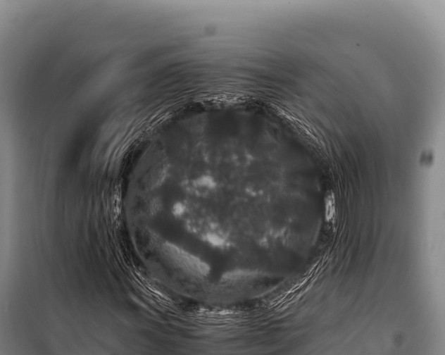 X0000100861011200806271155