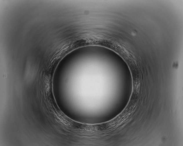 X0000100861012200806271155