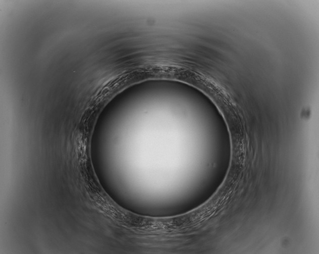 X0000100861013200806271155