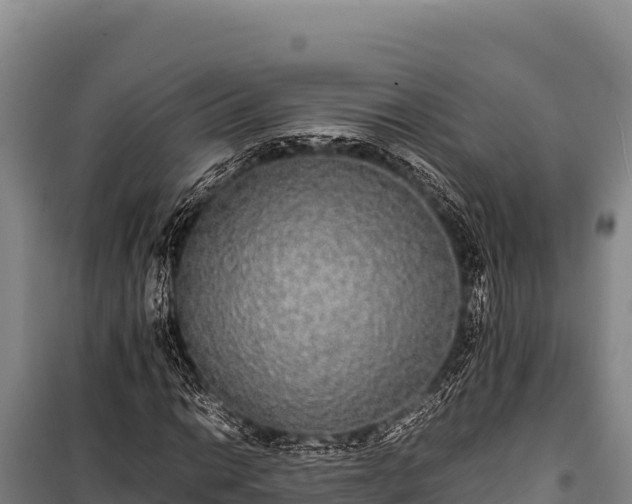 X0000100861014200806271155