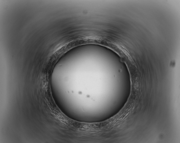 X0000100861015200806271155