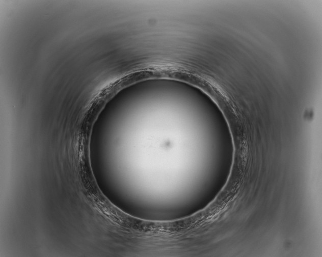 X0000100861016200806271155