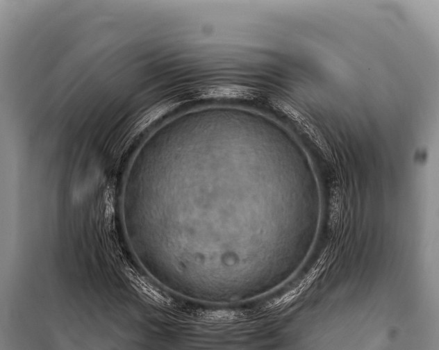 X0000100861017200806271155