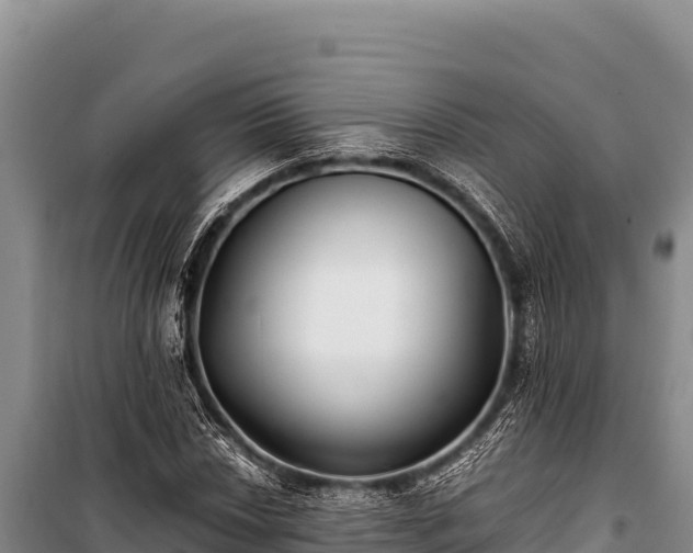 X0000100861018200806271155