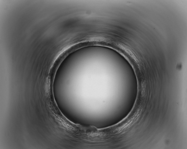 X0000100861021200806271155