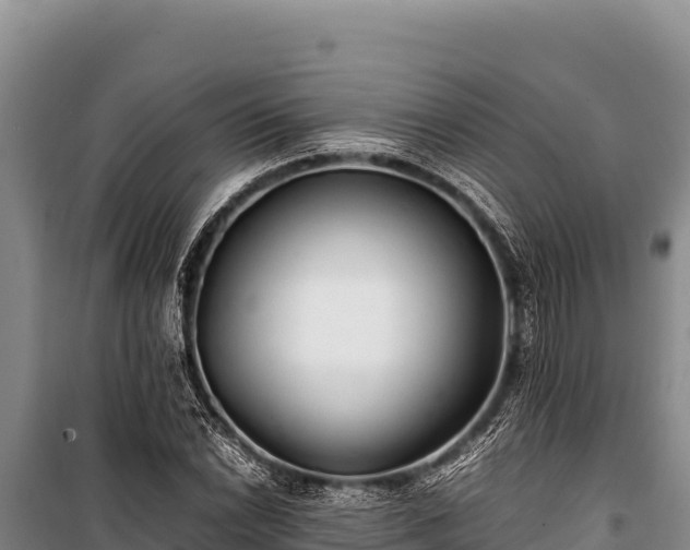 X0000100861022200806271155