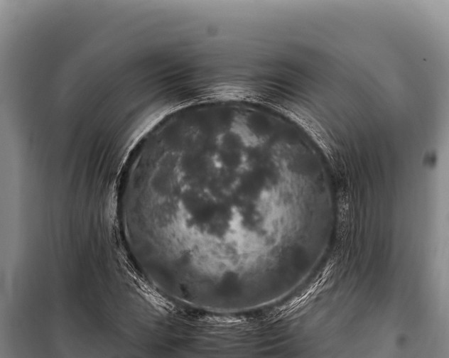 X0000100861023200806271155